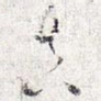 真