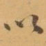 以