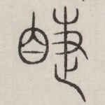 睫
