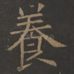 养