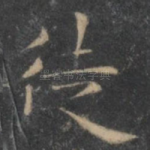 徒