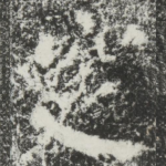 窆