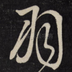 羽