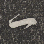 一