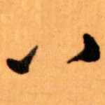 八