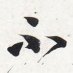 不