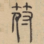 符