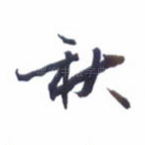 秋