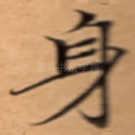 身