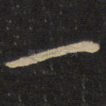 一