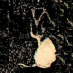 孔