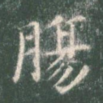 肠
