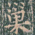 巢