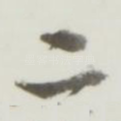二