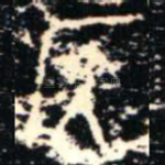 侯