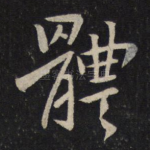 体