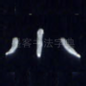 小