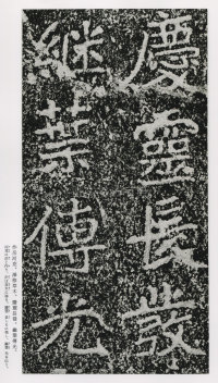 郑文公碑 - 第154页