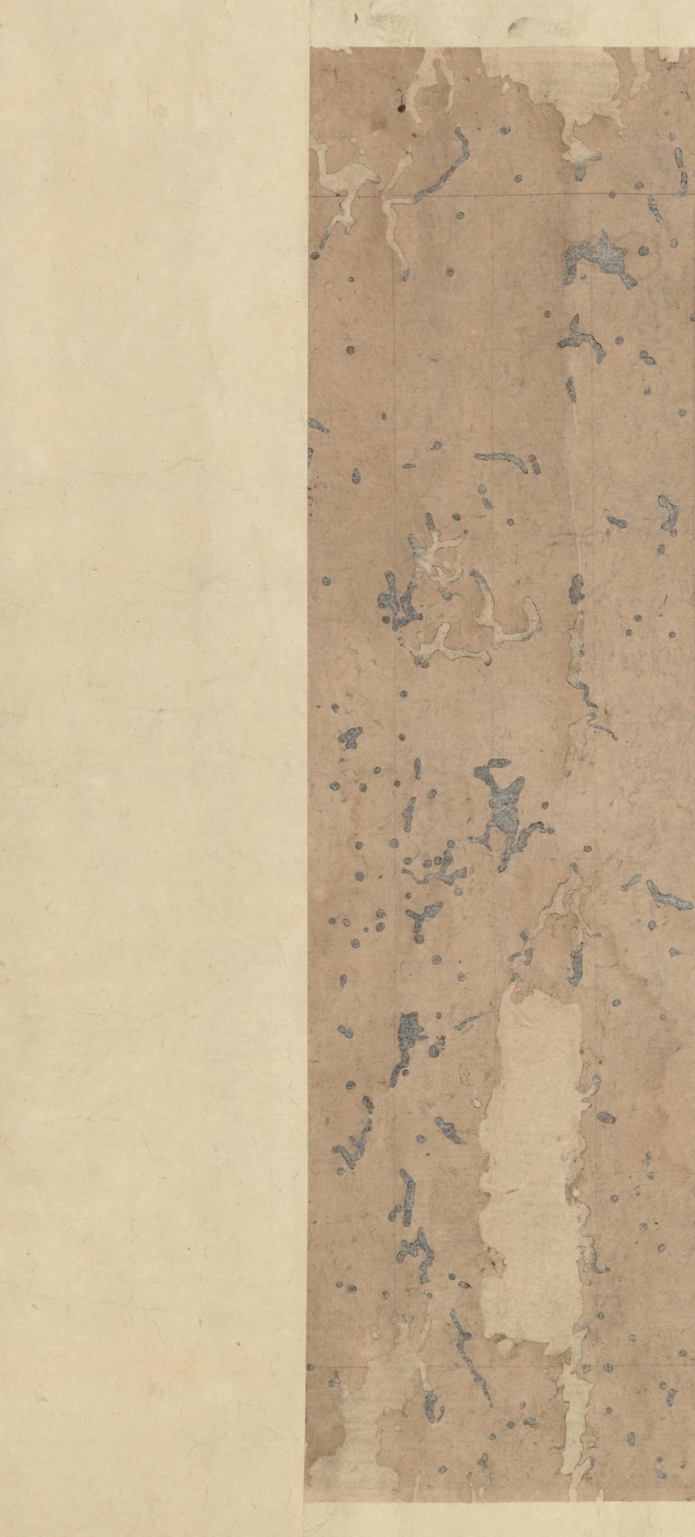 王勃集第二十九卷残卷 - 第5页