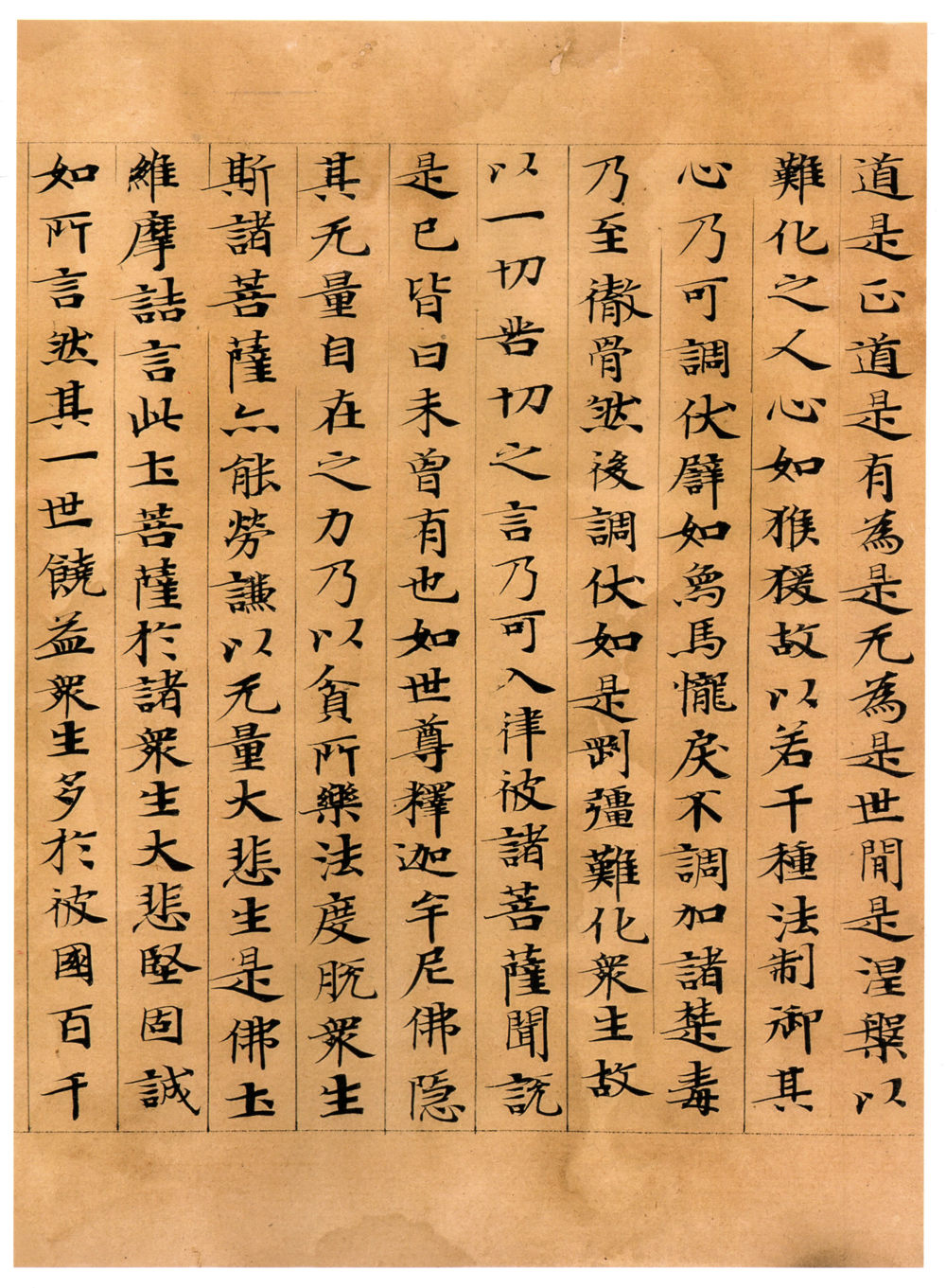 维摩诘经康有为藏本 - 第3页