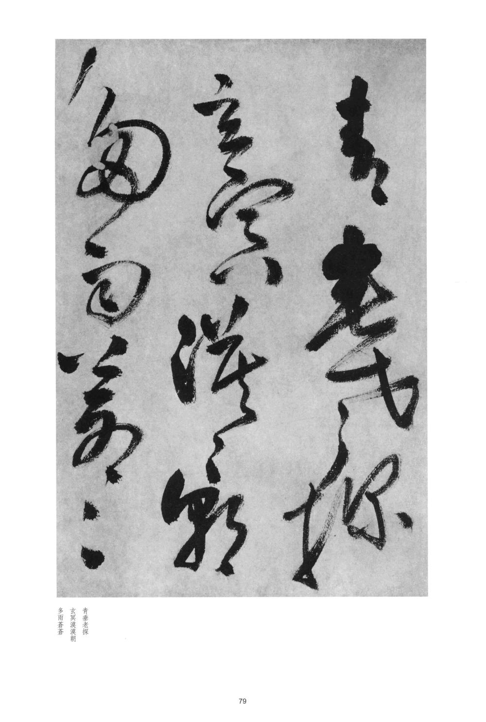 赠郑公度草书诗卷 - 第2页