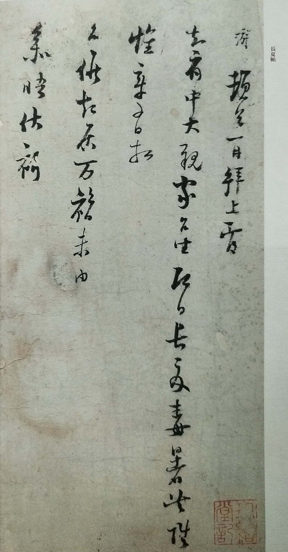 长夏帖 - 第2页