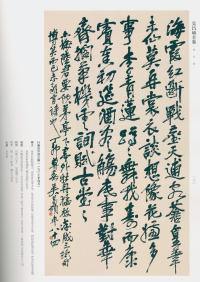 吴昌硕书法全集-卷三 - 第163页