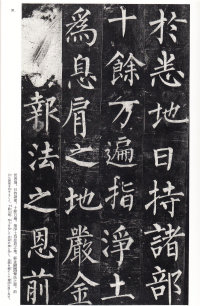 玄秘塔碑 - 第30页
