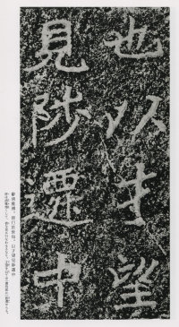 郑文公碑 - 第68页