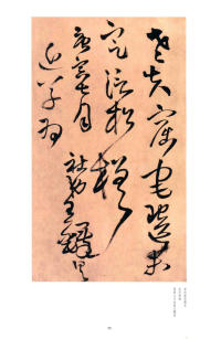 别千顷忽遘 - 第24页