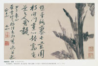 书画册页之芭蕉 - 第1页