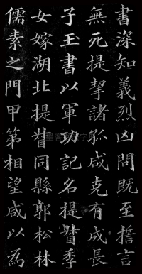 杨君墓志铭 - 第8页