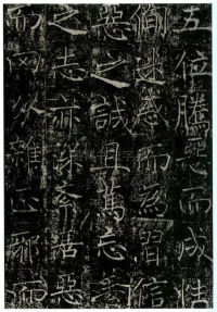 信行禅师碑 - 第19页