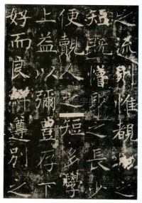 信行禅师碑 - 第37页