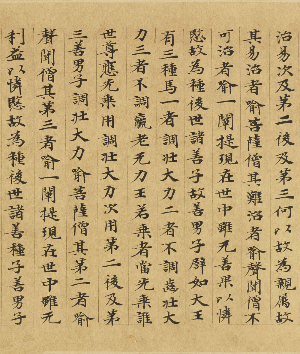 大涅槃经 - 第5页