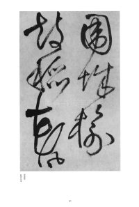 赠郑公度草书诗卷 - 第14页