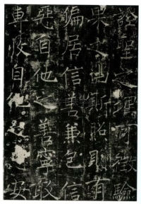 信行禅师碑 - 第39页