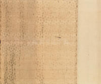 王勃集第二十九卷残卷 - 第8页