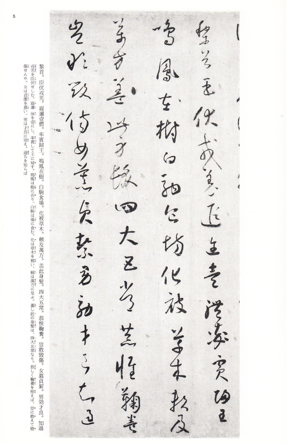 小草千字文-兰千山馆藏本 - 第4页