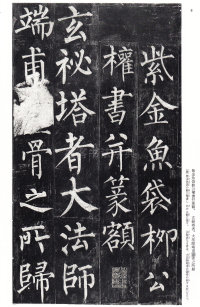 玄秘塔碑 - 第5页
