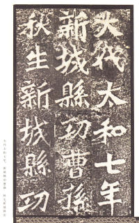 龙门二十品-龙门造像记 - 第25页