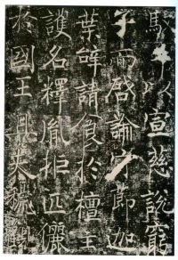 信行禅师碑 - 第31页