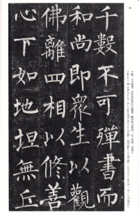 玄秘塔碑 - 第33页