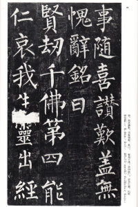 玄秘塔碑 - 第43页