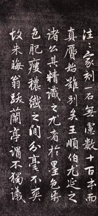 兰亭十三跋 - 第4页