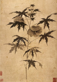 题秋葵图 - 第4页