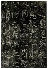 信行禅师碑 - 第50页