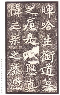 龙门二十品-龙门造像记 - 第80页