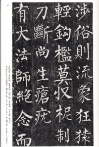 玄秘塔碑 - 第46页