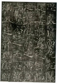 信行禅师碑 - 第35页